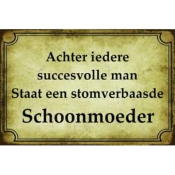 Achter Iedere Succesvolle Man Staat Een Stomverbaasde Schoonmoeder